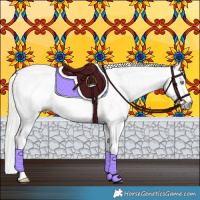 Horse Color:Gray Silver Smoky Creme Dun Sabino Splash Appaloosa 