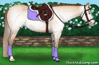 Horse Color:Gray Perlino 
