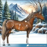 Horse Color:White Spotted Chocolate Palomino Tobiano 