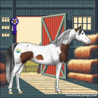 Horse Color:Bay Splash Tobiano 