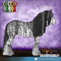 Horse Color:Brown Sabino Rabicano  and Brown Sabino Rabicano 