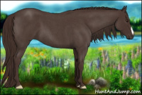 Horse Color:Liver Red Roan 