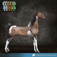 Horse Color:Bay Dun Tobiano 