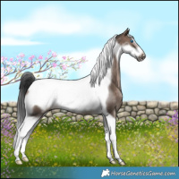 Horse Color:Brown Dun Tobiano Frame 
