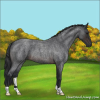 Horse Color:Brown Roan 