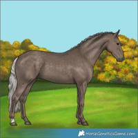 Horse Color:Silver Black 