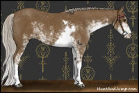 Horse Color:Chocolate Palomino Sabino Varnish 
