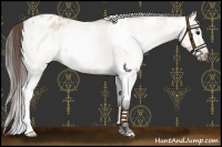 Horse Color:White Spotted Bay Dun Splash Appaloosa and Gray Bay Dun Appaloosa Rabicano