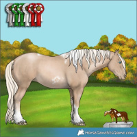 Horse Color:Chocolate Palomino Pearl Tobiano Frame  and Chocolate Palomino Pearl Tobiano Frame 