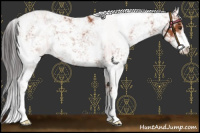 Horse Color:Bay Sabino 