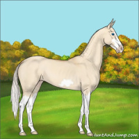 Horse Color:Silver Classic Champagne Dun Splash Frame 