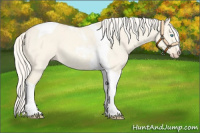 Horse Color:Cremello Dun Tobiano