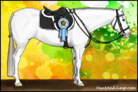 Horse Color:Bay Sabino Splash Appaloosa 