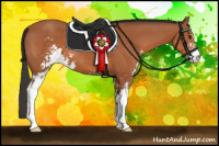 Horse Color:Bay Sabino 