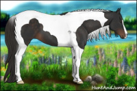 Horse Color:Liver Chestnut Tobiano 