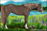Horse Color:Liver Chestnut Sabino