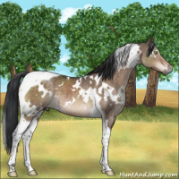 Horse Color:White Spotted Brown Dun Mushroom Tobiano Brindle 