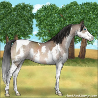 Horse Color:Brown Dun Mushroom Sabino Splash Tobiano 