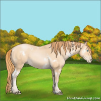 Horse Color:White Spotted Buckskin Pearl 
