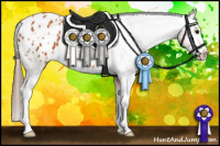 Horse Color:White Spotted Bay Sabino Appaloosa 