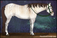 Horse Color:Bay Ice Onyx Appaloosa 