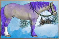 Horse Color:Watercolor Buckskin 