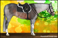 Horse Color:Brown Roan Rabicano 