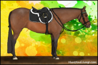 Horse Color:Buckskin Roan 