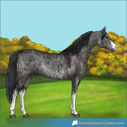 Horse Color:Platinum White Spotted Brown Ice Dun Rabicano 
