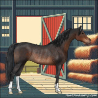 Horse Color:Brown Rabicano 