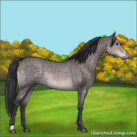 Horse Color:Platinum Brown Dun 