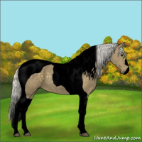 Horse Color:Void Silver Smoky Black Tobiano 