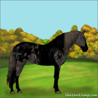 Horse Color:Void Smoky Black Sabino Splash Tobiano Appaloosa 