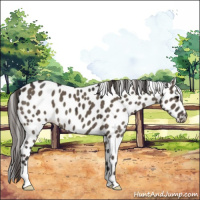 Horse Color:Smoky Grullo Appaloosa Brindle 