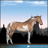 Horse Color:Silver Brown Dun Tobiano 