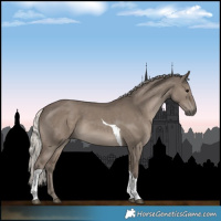 Horse Color:Silver Grullo Tobiano
