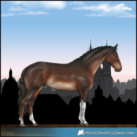 Horse Color:Liver Chestnut Tobiano 