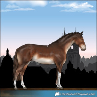 Horse Color:Liver Chestnut Tobiano 