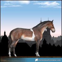 Horse Color:Bay Roan Tobiano