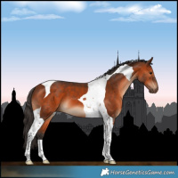 Horse Color:Bay Tobiano 