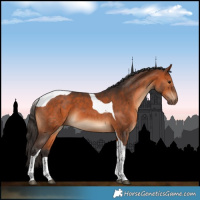Horse Color:Bay Tobiano