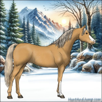 Horse Color:Palomino Rabicano 