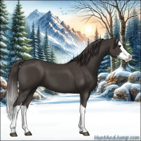 Horse Color:Smoky Black Splash