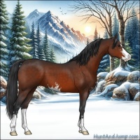 Horse Color:Brown Sabino