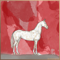 Horse Color:Chocolate Palomino Pearl Dun Appaloosa Brindle 