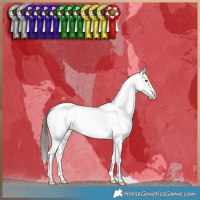 Horse Color:Brown Dun Snowcap Brindle 