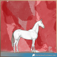 Horse Color:Buckskin Roan Dun Near Fewspot Brindle 