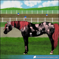 Horse Color:Void Watercolor Liver Red Dun Splash Tobiano 