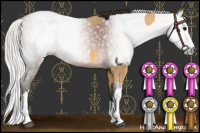 Horse Color:Buckskin Roan Tobiano  and Gray Silver Bay Roan Splash 