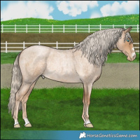 Horse Color:Chocolate Palomino Roan Pearl Rabicano 